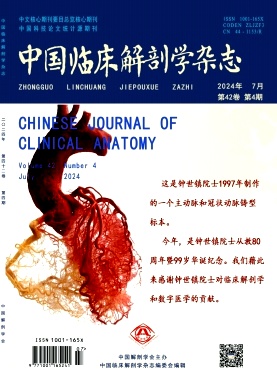 中国临床解剖学杂志封面